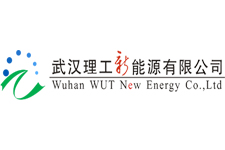 武漢理工新能源有限公司