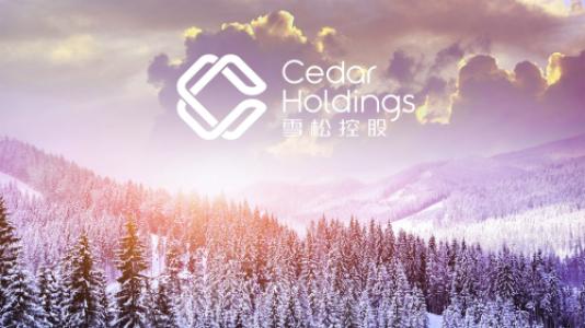 雪松控股加速布局新能源汽車