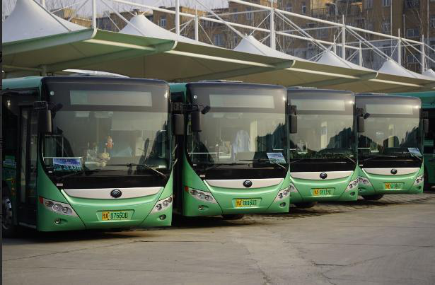 河南鄭州：“綠色”新能源號牌首次亮相BRT公交車