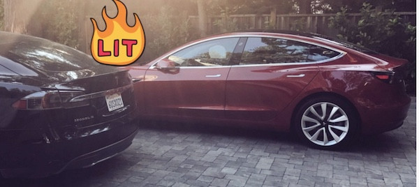 高盛建議拋售特斯拉，馬斯克推特喊話：下注吧